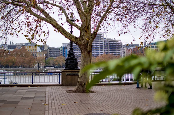 Green trees on river thames with open ground and clouds — Stock Photo, Image