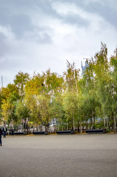 Londra açık zeminyeşil ağaçlar