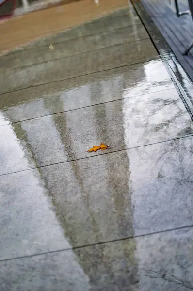V dešti a vodě se na ulici odráží střepy. — Stock fotografie