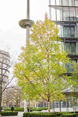 Thames nehri üzerinde Londra Ofis binaları