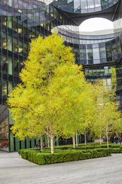 Yeşil ağaç Londra güney kıyısında mavi bir bina için be