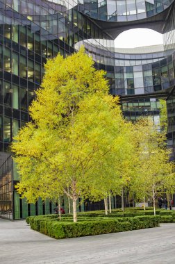 Londra'da güney kıyısında mavi bir cam bina önce yeşil ağaç