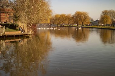 Su ve ağaçlar ile nehir tarafı sahne üzerine Stratford