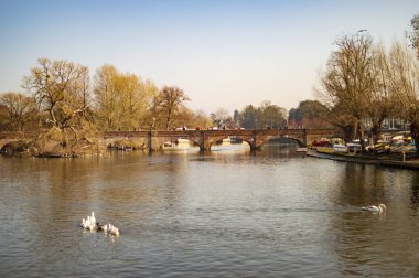 Straford nehir avon tekneler ve ördekler ve ağaçlar ile insanlar üzerine