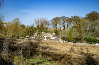 Cotswold Bibury köyü ve orada orman