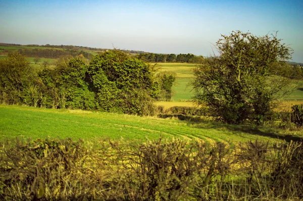 İngiltere kırsal tarafında yeşil çayırlar ve ağaçlar — Stok fotoğraf