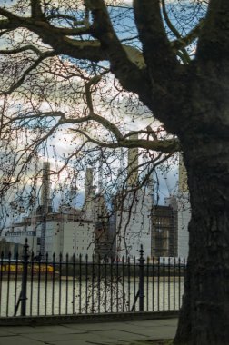 Ağaç ile thames Güney Londra nehir tarafı