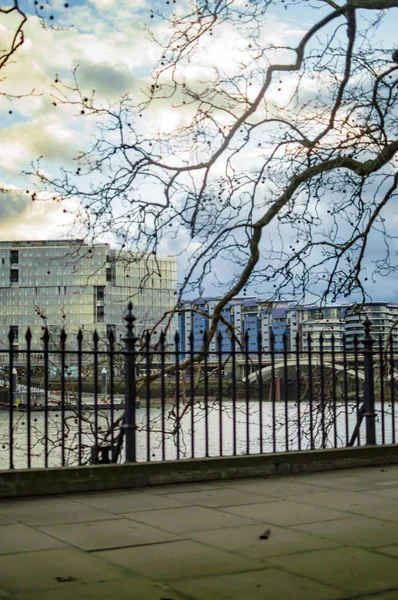 South London Flussseite der Themse mit Ästen von Bäumen — Stockfoto