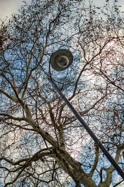 Londra'daki ağaçlar ve bulutlar ve bir sokak Lambası — Stok fotoğraf