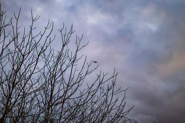 Londres céu escuro com nuvens com galhos de árvores nuas — Fotografia de Stock