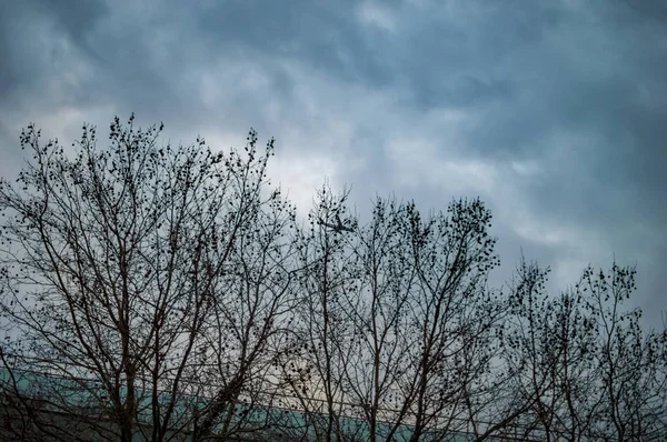 Londres céu escuro com nuvens com várias árvores na fileira — Fotografia de Stock