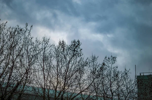 Çıplak ağaçlar satırları ile bulutlar ile Londra karanlık gökyüzü — Stok fotoğraf
