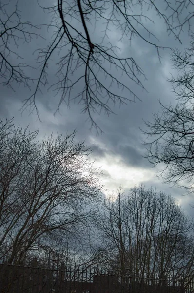 Céu de Londres com árvores escuras e nuvens e galhos — Fotografia de Stock