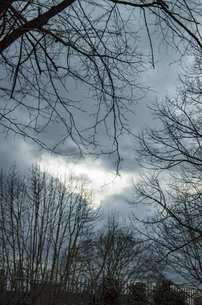 黒い木と黒と白の色の雲を持つロンドンの空 — ストック写真