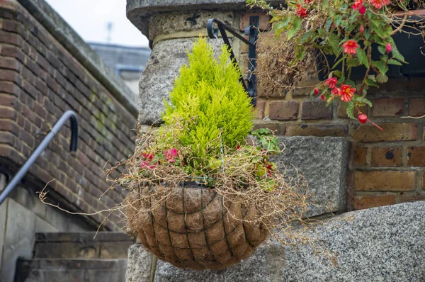 Les pots de fleurs suspendus dans le balcon à Londres avec filet et panier — Photo