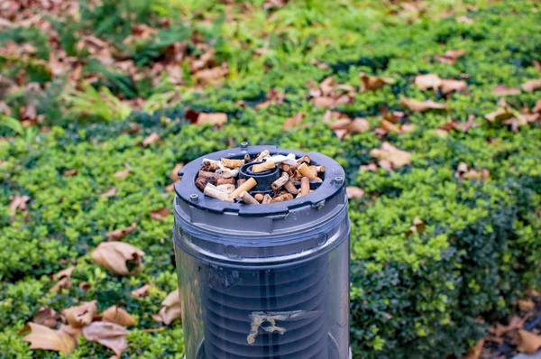 Charutos em caixote do lixo em um parque em Londres — Fotografia de Stock