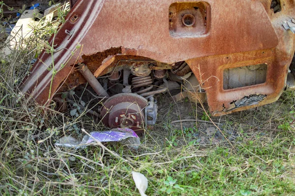 Burned car on the ground with grass and other small plants