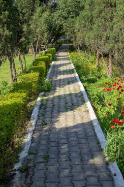Yeşil ağaçlarla parkta yürüyüş yolu