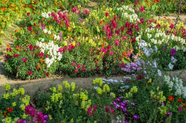 Arka bahçesinde çeşitli çiçekler ve iyi bakılıyor
