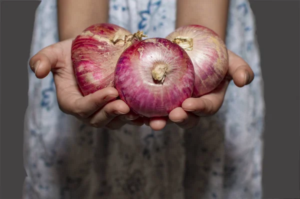 Cebollas en manos de una hembra. Son cebollas rojas. — Foto de Stock