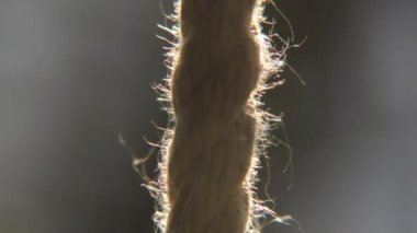 Makro yakın çekim ve onun küçük iplikleri ve makro düzeyini gösteren halat gösteriliyor.