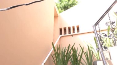 Ev bahçesinde ve merdivenlerde yeşil bitkiler var ve yavaşça yukarı çıkıyorlar.