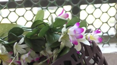 Evdeki yapay bahçede renkli kırmızı ve beyaz çiçekler.