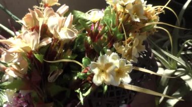 Teras bahçesindeki renkli suni çiçekler ve rüzgarla sallanıyor..