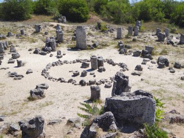 Doğal olay taş orman - Pobiti kamani, Bulgaristan - hayat döngüsü