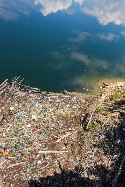 Lüks araba bej deri iç