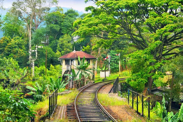 Güzel manzara: Eski tarihi İngiliz demiryolu, köprü, bekçinin evi ve parlak tropikal yeşillikler - Kandy 'den Badulla' ya, Sri Lanka adası, Güney Asya 'ya trenle gidiyorlar.