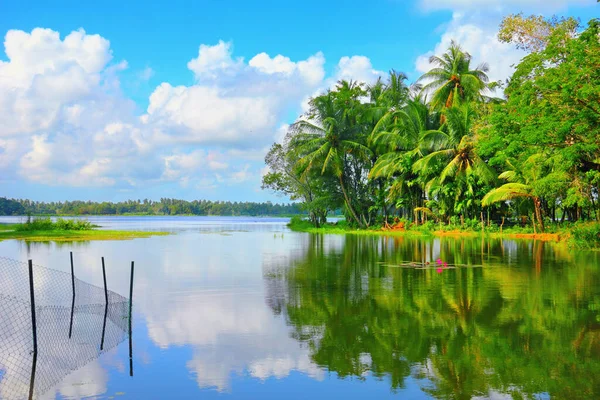 Tropikal orman ve balıkçılık aracı saf göl sularına yansıyor, Sri Lanka