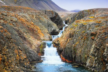 Muhteşem doğa manzarası - mavi suyla kutup şelalesi ve Barentsburg, Spitsbergen adası, Svalbard takımadaları, Norveç, Kuzey Avrupa yakınlarındaki çorak kayalar arasındaki pek çok eşik. 
