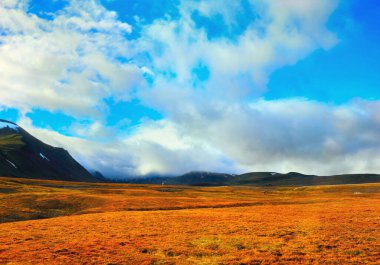 Güzel kutup manzarası - Isfiord, Spitsbergen (Svalbard Adası), Norveç yakınlarındaki dramatik mavi gökyüzünün arka planında parlak sarı çimenler ve yosun ve uzak siyah tepeler ile vahşi arazi