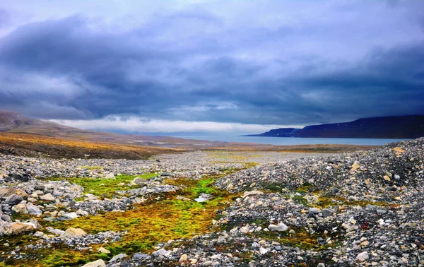 美丽的风景 在挪威巴伦茨堡 斯匹次卑尔根岛 斯瓦尔巴岛和扬马延附近的高山 大海和引人注目的风暴般的天空的背景下 有着冰川和绿色苔藓的北极冻土带 — 图库照片