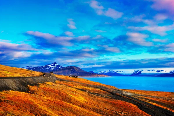 美丽的风景 冻土带土地覆盖着明亮的黄色和橙色苔藓 荒芜的山脉下的沙漠道路和蓝色的海湾 靠近巴伦茨堡 斯瓦尔巴 斯皮次卑尔根岛 格陵兰海 — 图库照片