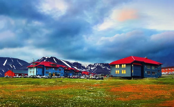 Güzel Manzara Renkli Evler Beyaz Arktik Çiçekli Yeşil Tarla Longyearbyen — Stok fotoğraf