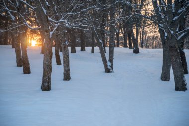 Parkta kış gün batımı