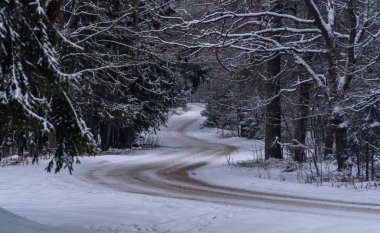 kış orman kar Noel ağacı doğa yol buz dondurulmuş