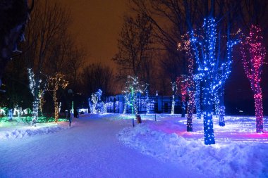 Ağaçlar parlayan Noel Işık dekorasyon