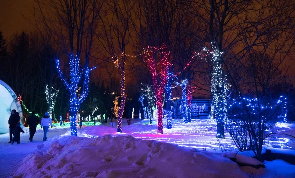 Ağaçlar parlayan Noel Işık dekorasyon