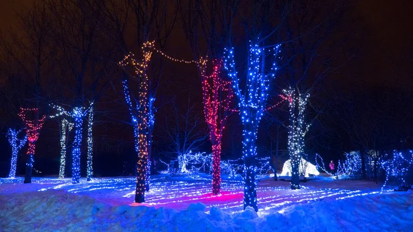 Ağaçlar parlayan Noel Işık dekorasyon