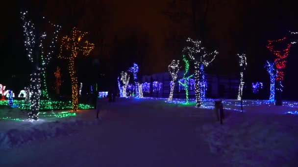 Lichte Kerstversiering Gloeiende Bomen — Stockvideo