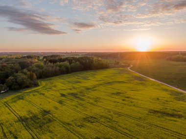 Yeşil Alan ve Güzel Gün Batımı