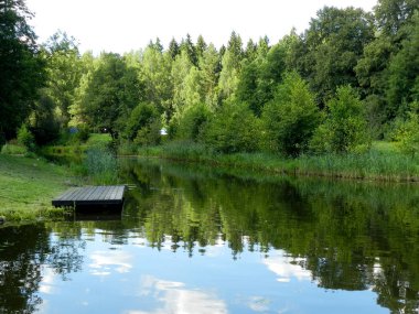                          orman arasında Nehri üzerinde yatak      