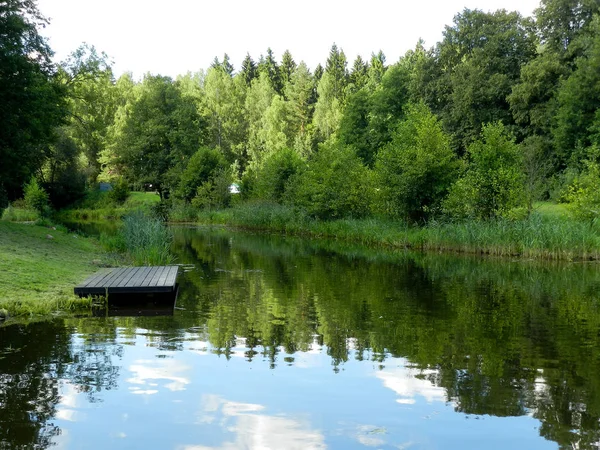                          orman arasında Nehri üzerinde yatak      