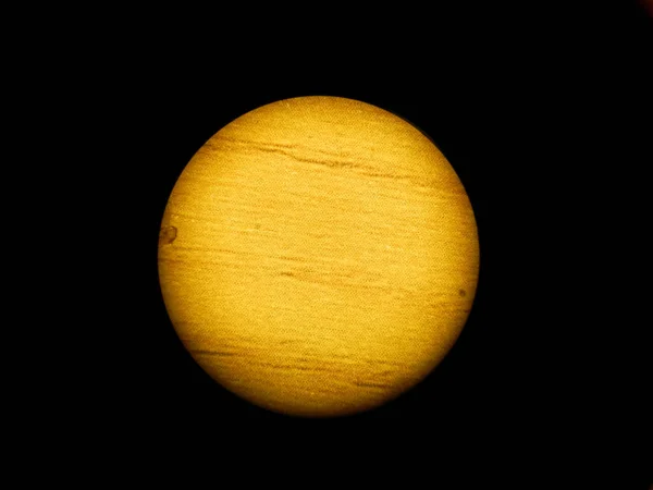                                yüzey büyük mikroskop altında