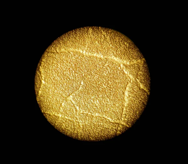                                yüzey büyük mikroskop altında