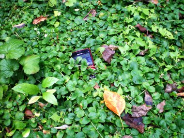 derin çimenlerde telefondur