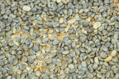 yeşil yeşil kahve çekirdekleri arka plan